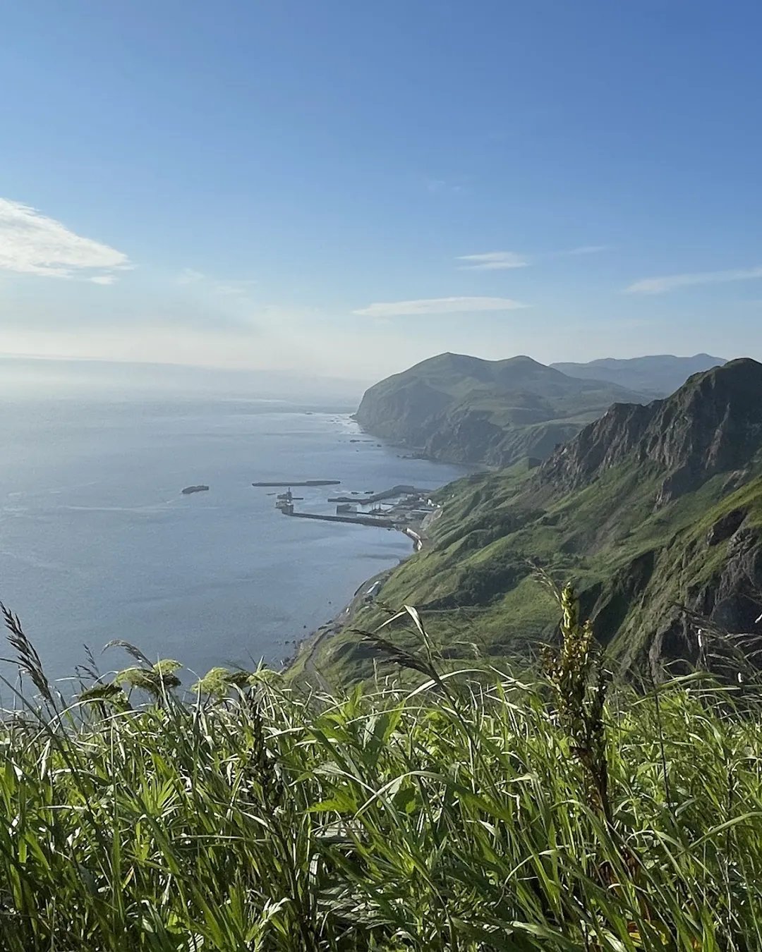 🏞️ 모모이와 전망대 이미지 6